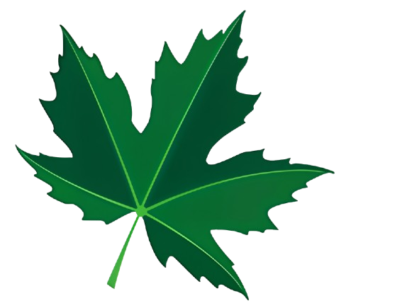 Maple leaf logo
